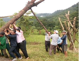 Lãnh đạo huyện Đak Pơ trồng cây lưu niệm tại Khu Di tích lịch sử Krong, huyện KBang