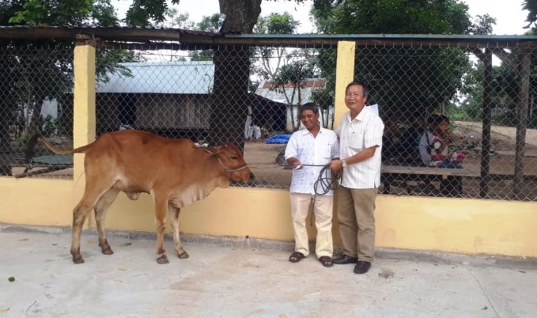 Ủy ban MTTQVN huyện Đak Pơ tổ chức lễ bàn giao bò sinh sản