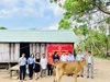 Trưởng Ban Dân vận Tỉnh ủy Phạm Thị Tố Hải tặng bò cho hộ nghèo tại...