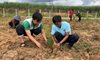 Huyện đoàn Đak Pơ trồng 5000 cây xanh 